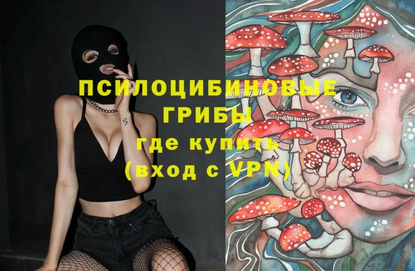 прущая мука Абаза